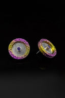 Titanium and silver earrings with amethysts