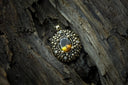DSC00641-scaled-2.jpg