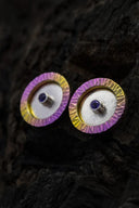 Titanium and silver earrings with amethysts