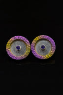 Titanium and silver earrings with amethysts