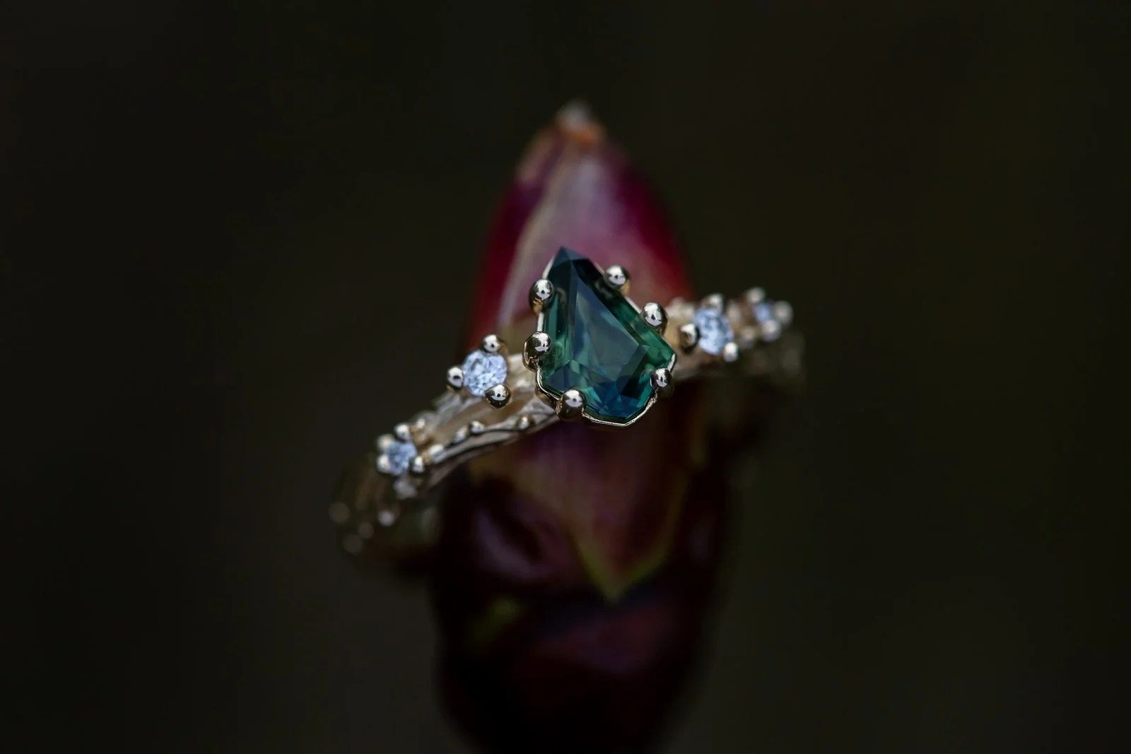 IMG_6855-1.jpeg