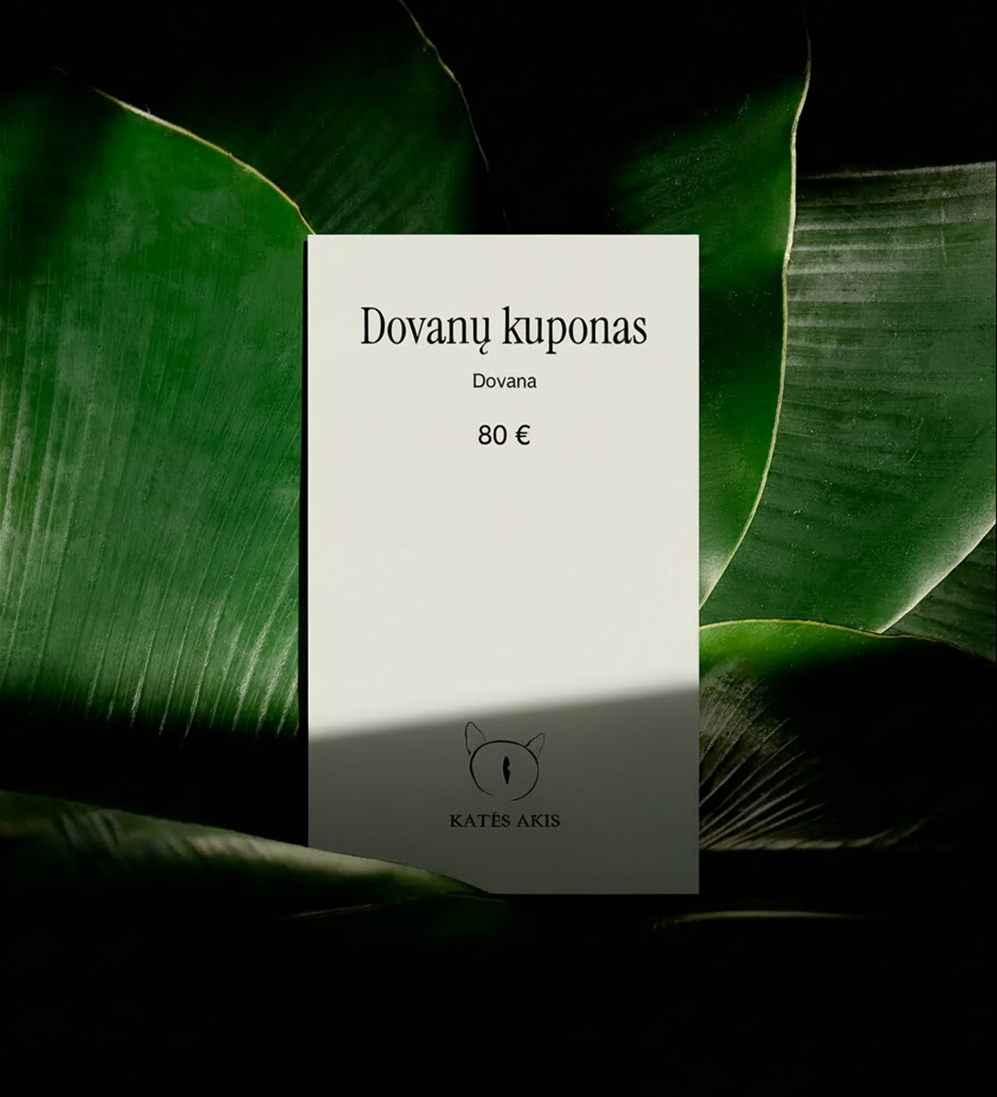 !Dovanų kuponas (Test)